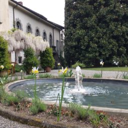 Villa Parravicino Sossnovsky Location per Matrimoni - Wedding Planner Patrizia Zannoni - White Omnia Wedding