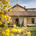 LOCATION+FESTA+TURBIGO_mimose+mulino+natura-1920w LOCATION+FESTA+TURBIGO_mimose+mulino+natura-1920w