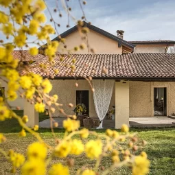 LOCATION+FESTA+TURBIGO_mimose+mulino+natura-1920w LOCATION+FESTA+TURBIGO_mimose+mulino+natura-1920w